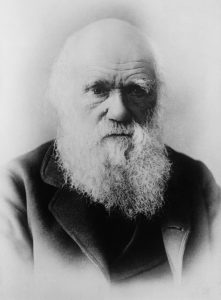 charles-darwin-62967